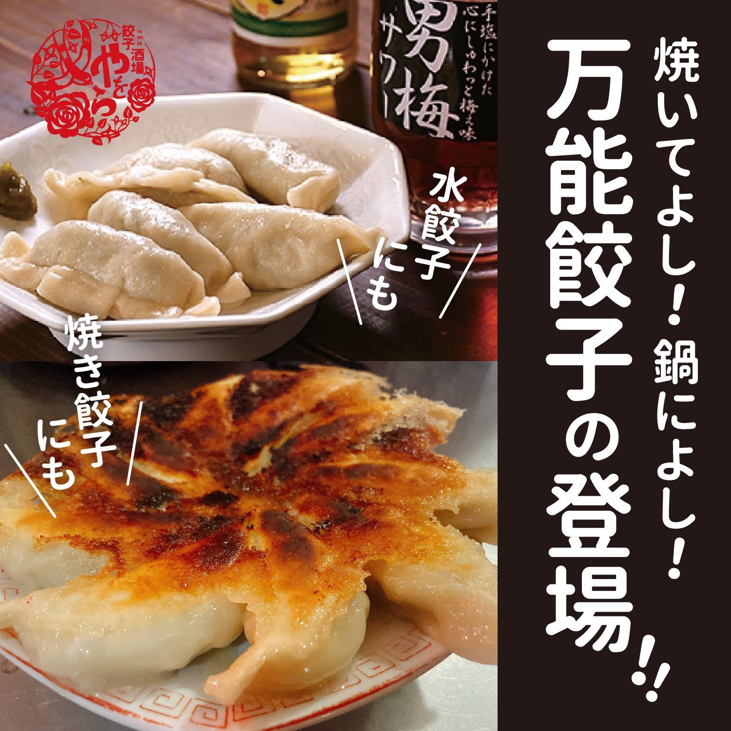 水餃子や鍋にも◎
