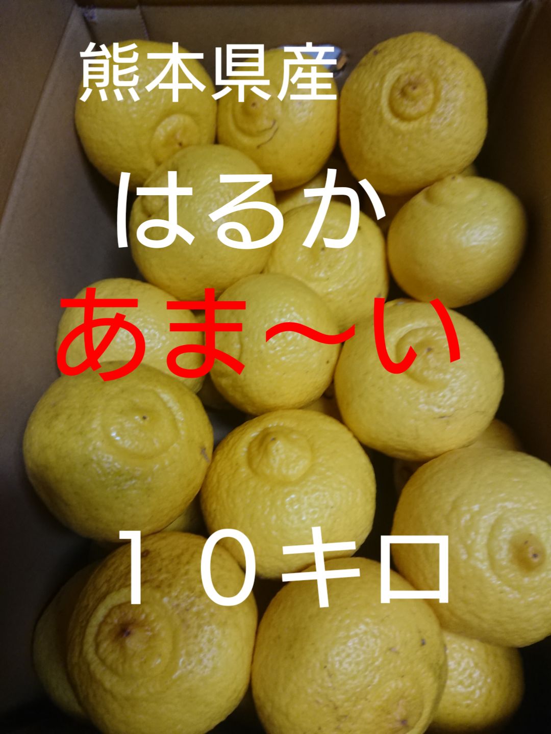 専用熊本県産 はるか 10キロ はるか みかん 10kg 箱込（内容量9kg＋補償分500g) 送料無料 訳