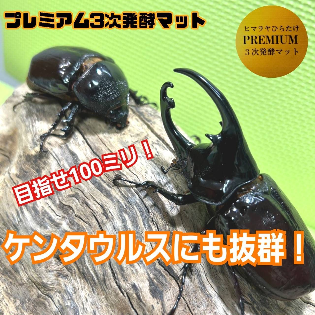 ケンタウルスにも抜群！ 極上！プレミアム3次発酵カブトムシマット【20