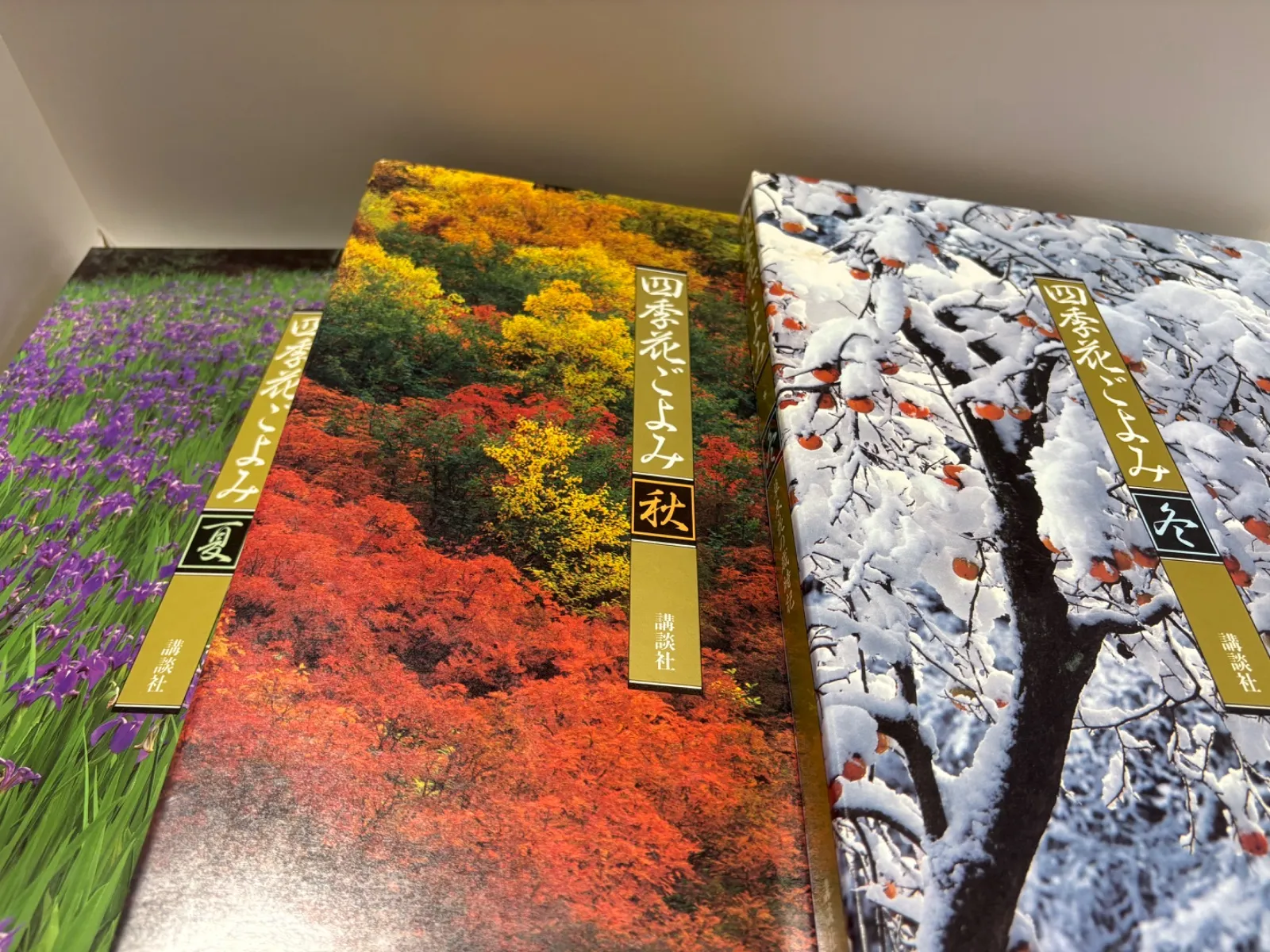 植物図鑑（四季花ごよみ）全5冊 講談社 カバー・帯付き 四季花ごよみ