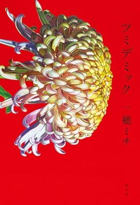 ホメオパシー教科書（CHhom旧RAH）28冊セット ホメオパシー教科書（CHhom旧RAH）28冊セット
