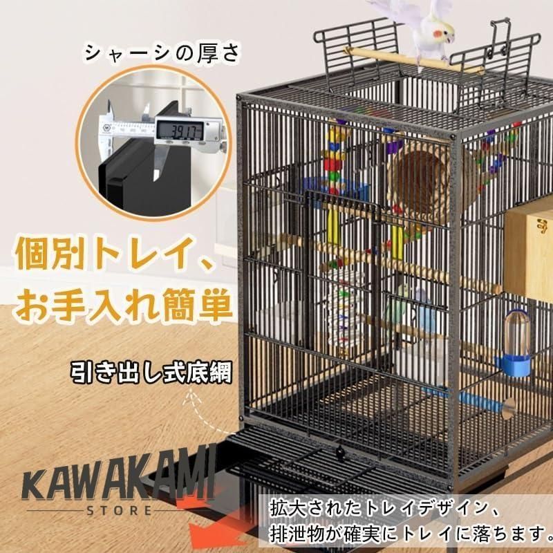 鳥