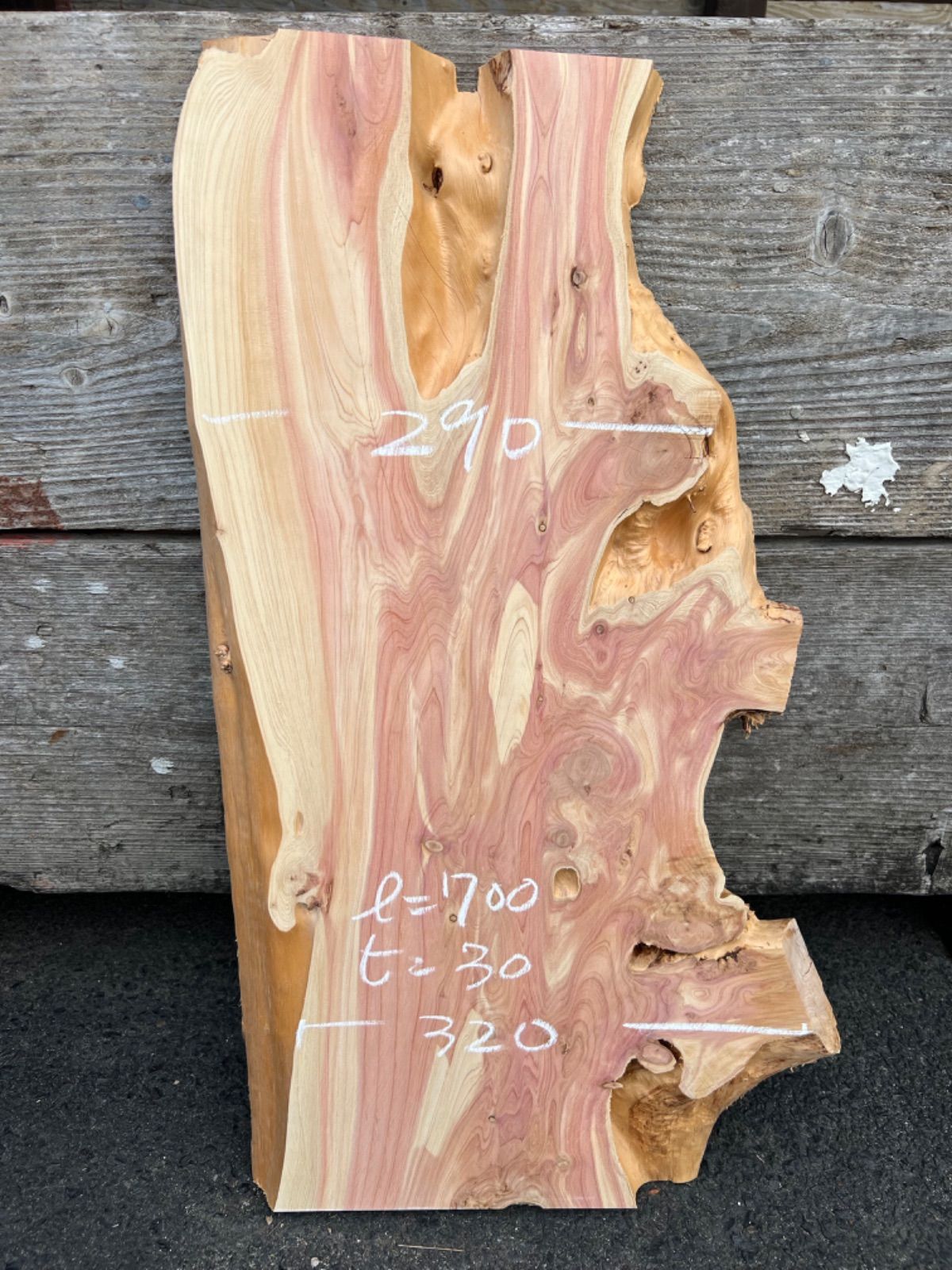 カイズカイブキ 一枚板 無垢材 DIY ウッドプレート レジン