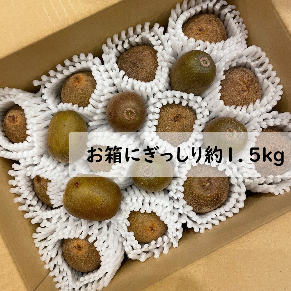 離島対応☆旬完熟キウイ3種お試しセット 紅妃 東京ゴールド アップル