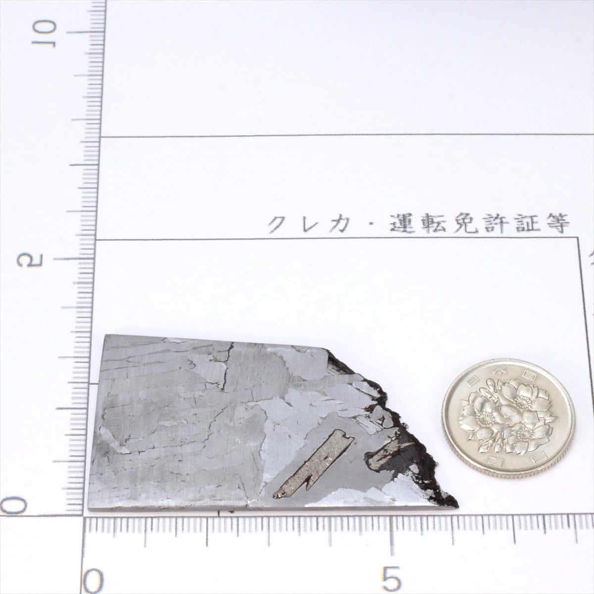 セイムチャン 隕石 26.6g パラサイト 石鉄隕石 標本 Seymchan M2503