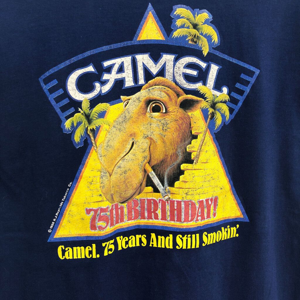 CAMEL