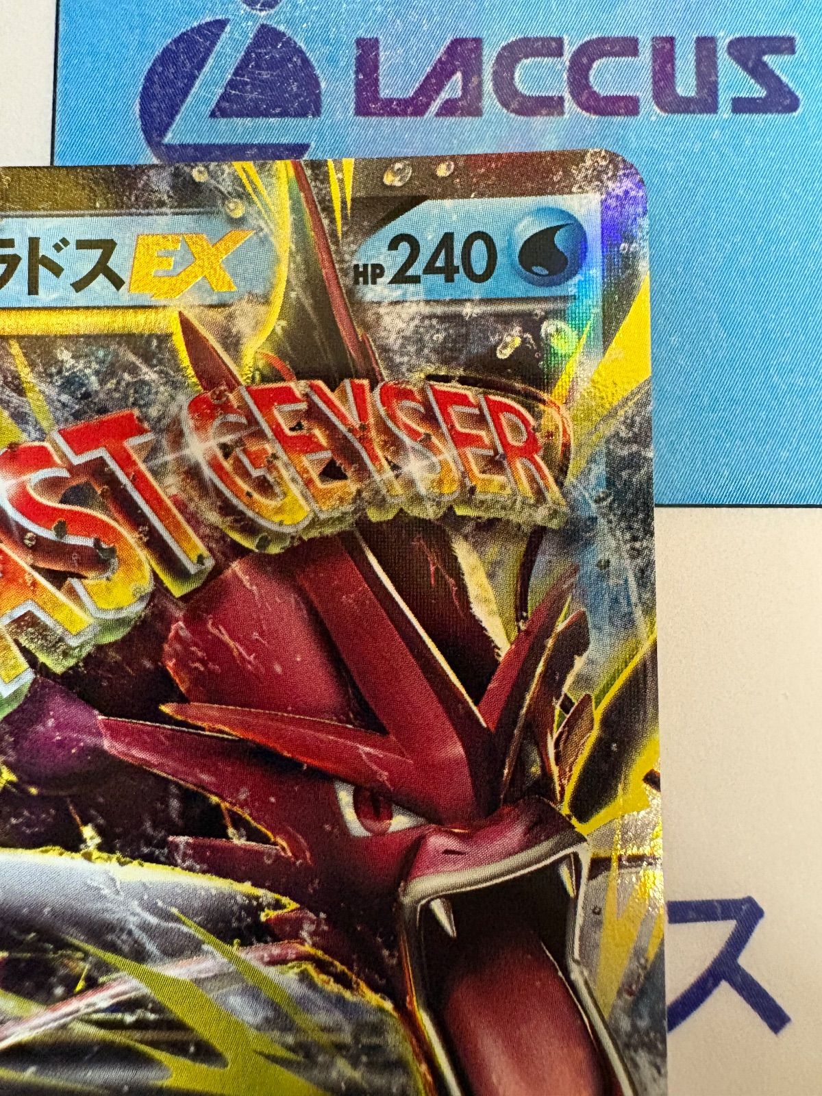 ポケモンカード/ポケカ MギャラドスEX 019/080 RR XY9 破天の