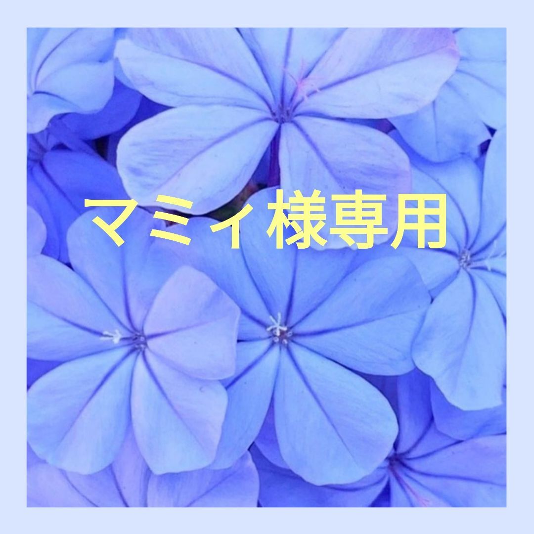 マミィ様専用 - ❀&FLOWERお花野菜の種セール中 - メルカリ