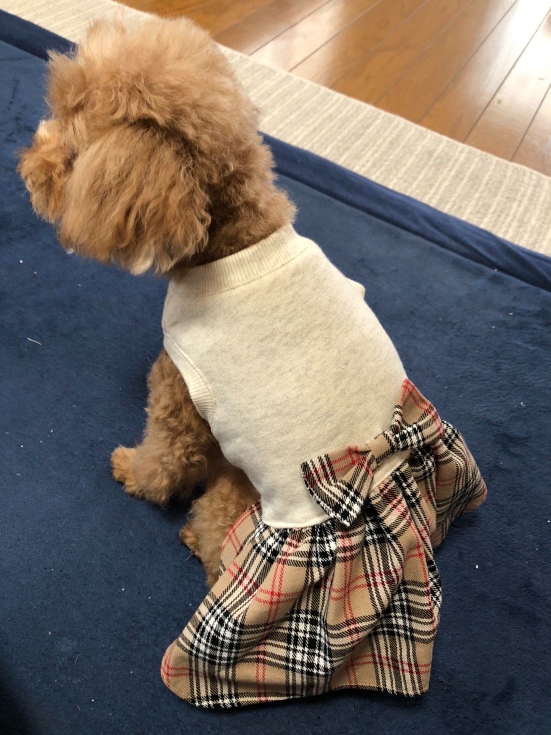 ほちちちゃん♡ ハンドメイド 犬服 犬の服 - 犬用品