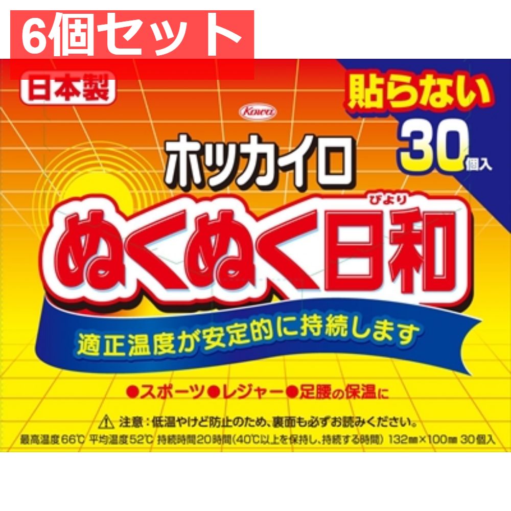 ホッカイロ ぬくぬく日和 貼らないレギュラー 30個 6個セット