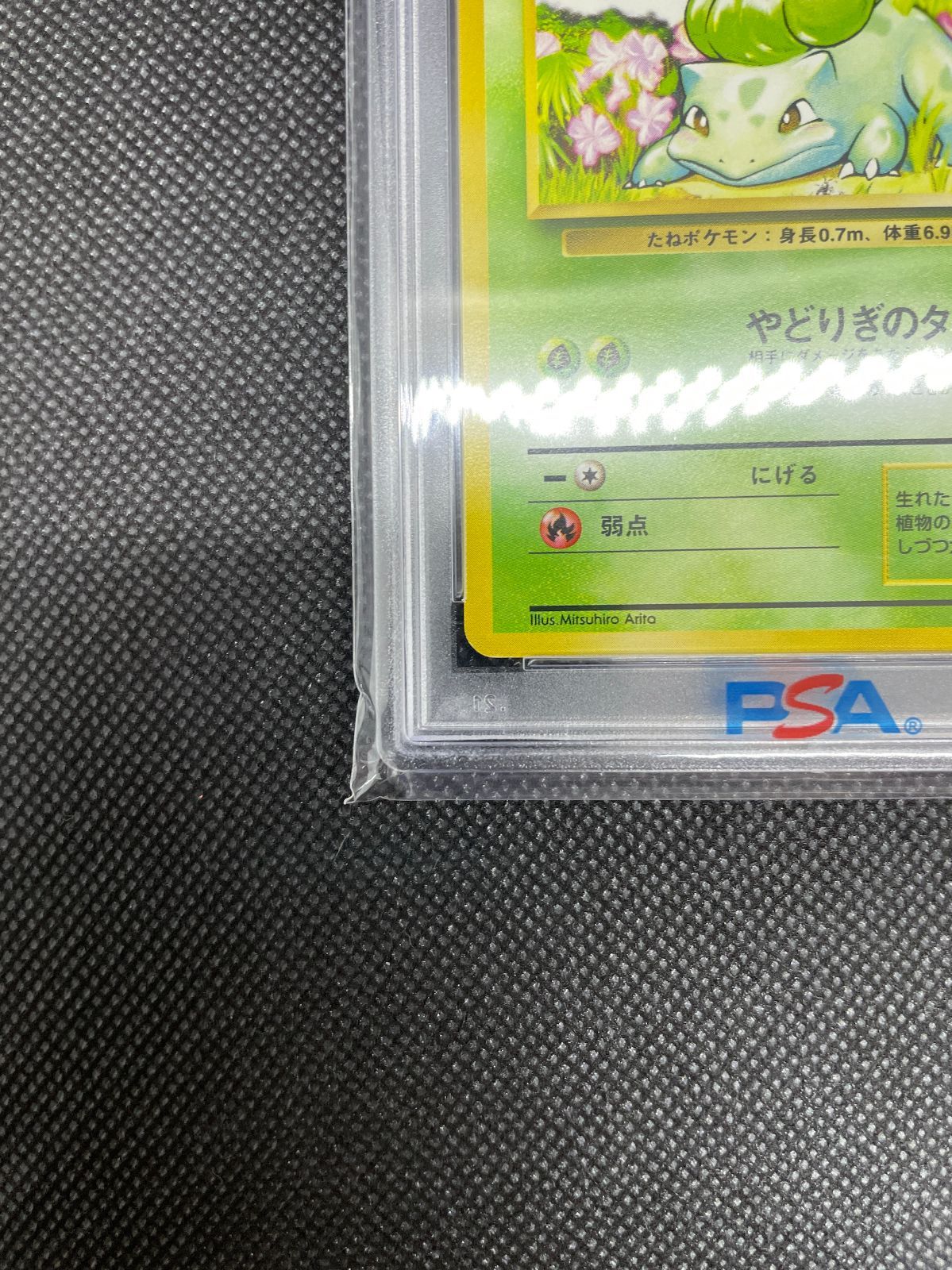 PSA鑑定品】旧裏 フシギダネ LV.13 PSA9 ポケモンカード 拡張パック第