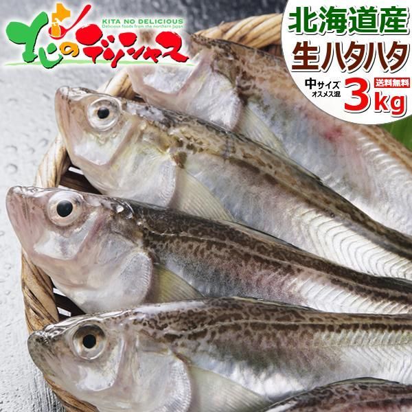予約 9月下旬 9月19日 頃～出荷予定 北海道産 生ハタハタ 1箱 3kg オス＆メス子無し混み 冷蔵 品 冬の味覚 はたはた ハタハタ 鰰 ぶりこ ブリコ ご自宅用 ご家庭用 お家用 北海道 北海道 直送 グルメ お取り寄せ