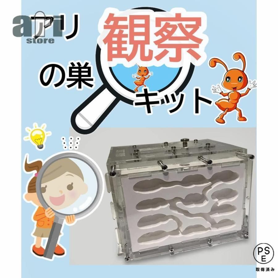 アリ飼育キット 石膏製巣箱 透明アクリル製ケース アリの巣観察