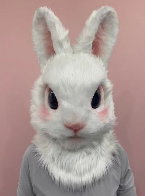着ぐるみヘッド うさぎ NO.228 リアルスタイル 全頭ヘッド ケモノ ファースーツ ぬいぐるみ コスプレ コスチューム kigurumi