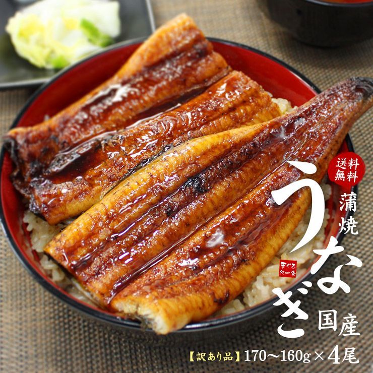 国産うなぎ蒲焼き(160g～170g)×4尾セット 訳あり品 タレ・山椒つき 《eel-ue1》yd9[[ウナギ長蒲焼き-4p]