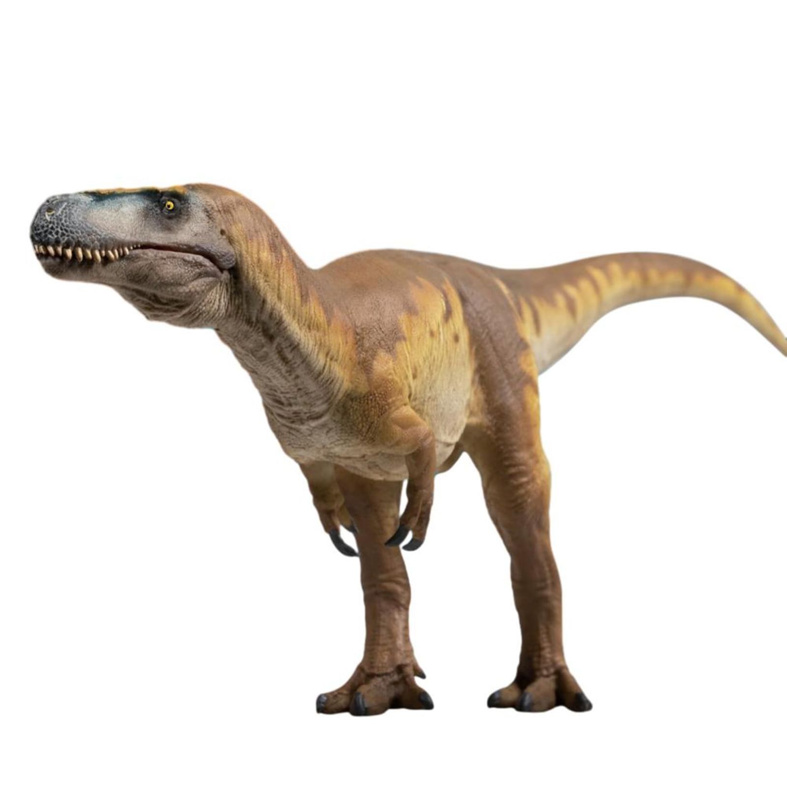 PNSO 成長シリーズ 74 メガロサウルス フィギュア 大きなトカゲ 迫力