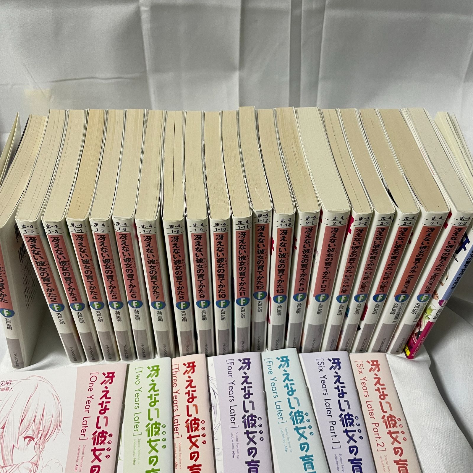 冴えない彼女の育てかた全巻セット 全20巻】冴えない彼女の