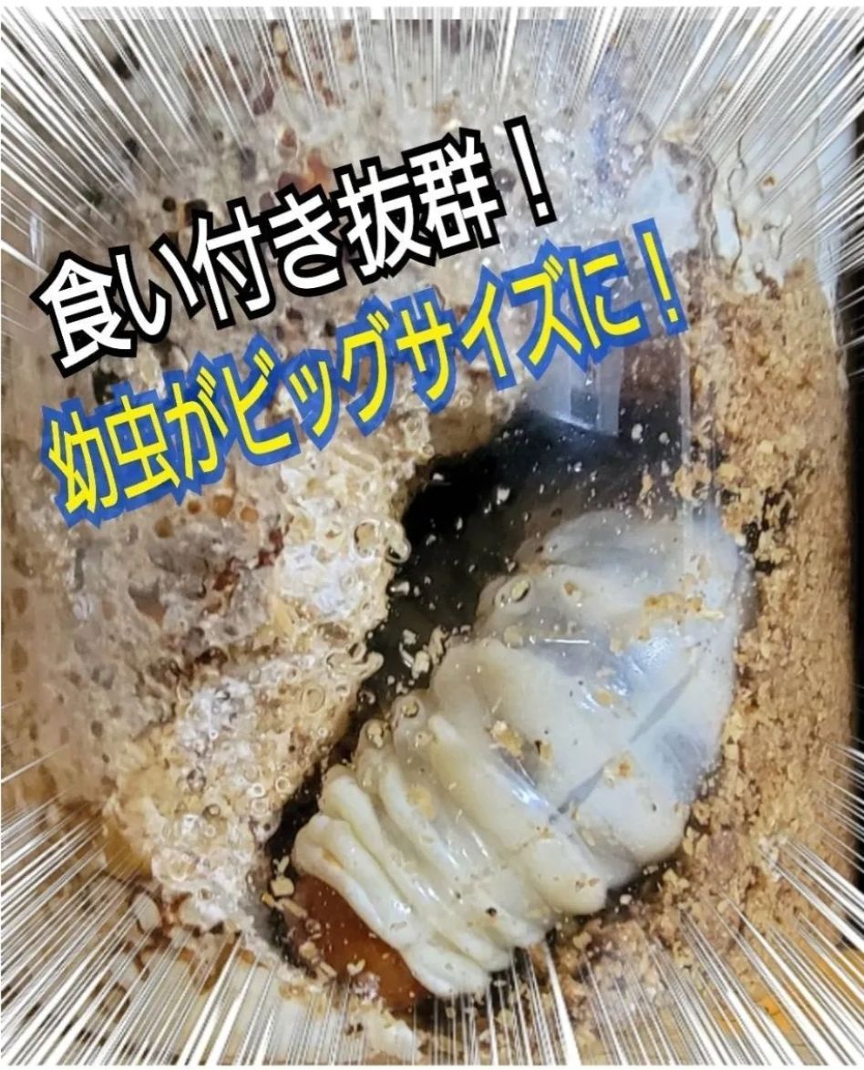 ローヤルゼリー入り 特殊アミノ酸強化配合