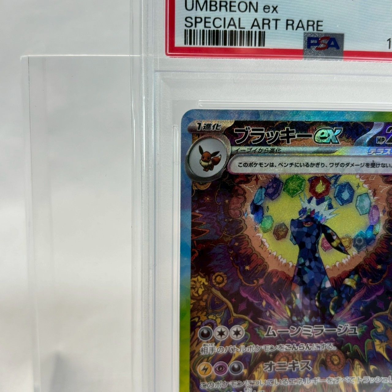 PSA10】ポケモンカード ブラッキーex SAR sv8a 217/187 特別