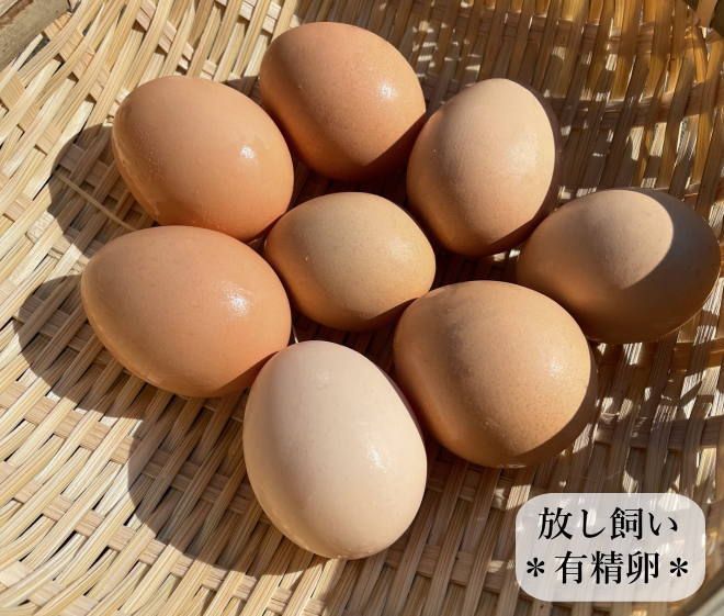 のサムネイル