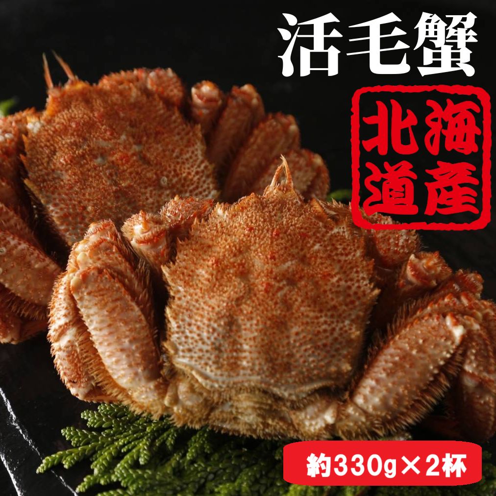 北海道産 活毛蟹 約330g×2尾 ◆毛ガニ 毛がに けがに 活 毛蟹 函館 かにみそ