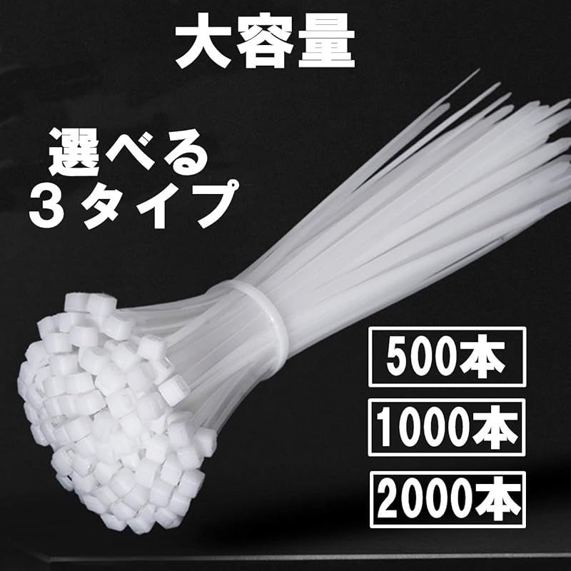 Cicogna 結束バンド