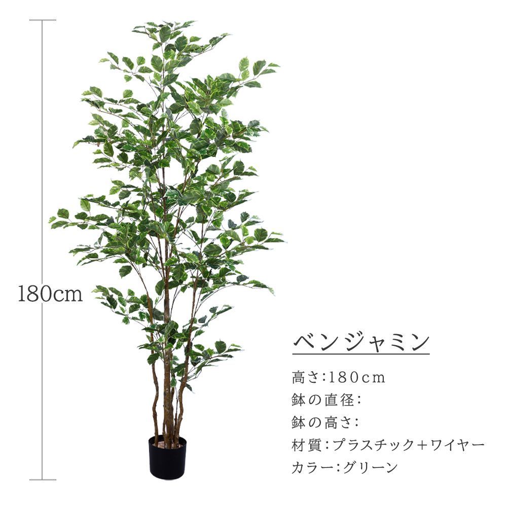 ベンジャミン お手入れ不要