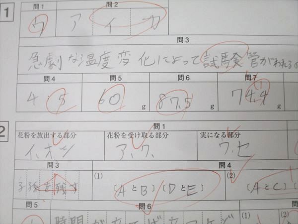 SAPIX 小6 サピックス 開成コース 冬期講習/正月特訓入試必勝実戦演習 01KA〜04KA 理科 【計8回分】 015m2D SAPIX 小6年 社会 SS特訓 志望校別講座 14回分 慶應コース