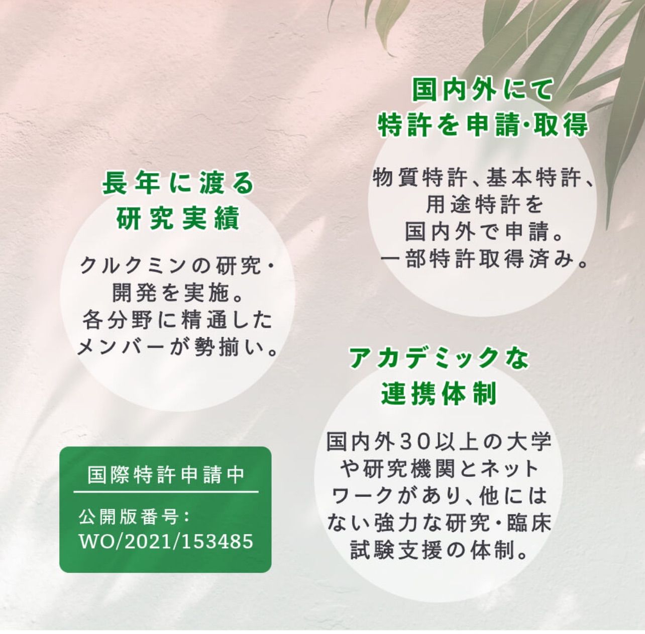 クルクミン サプリメント