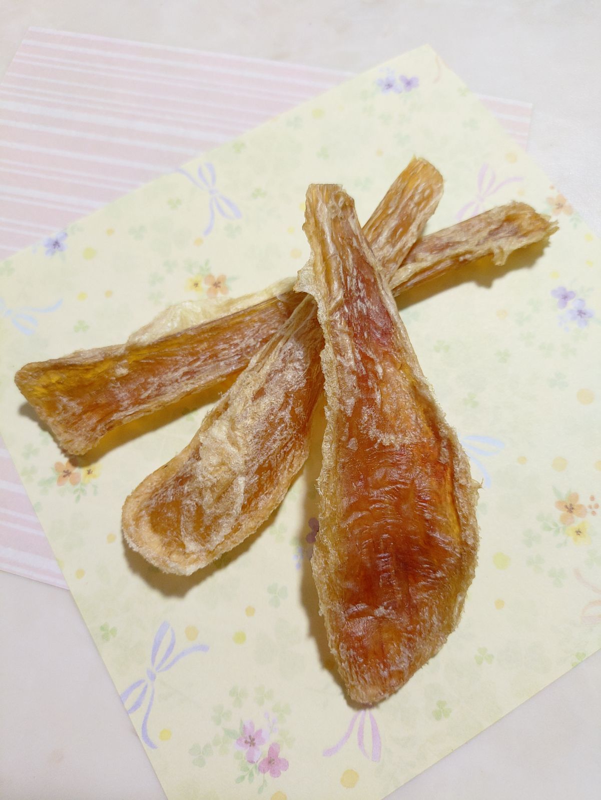 コノコトトモニ このこのごはん1kg×6袋 小型犬用ドッグフード 犬 用 おやつ