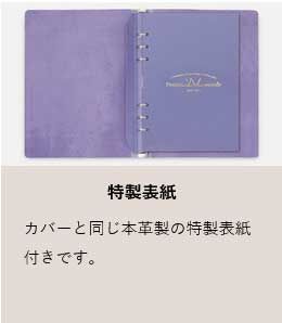 聖書サイズ