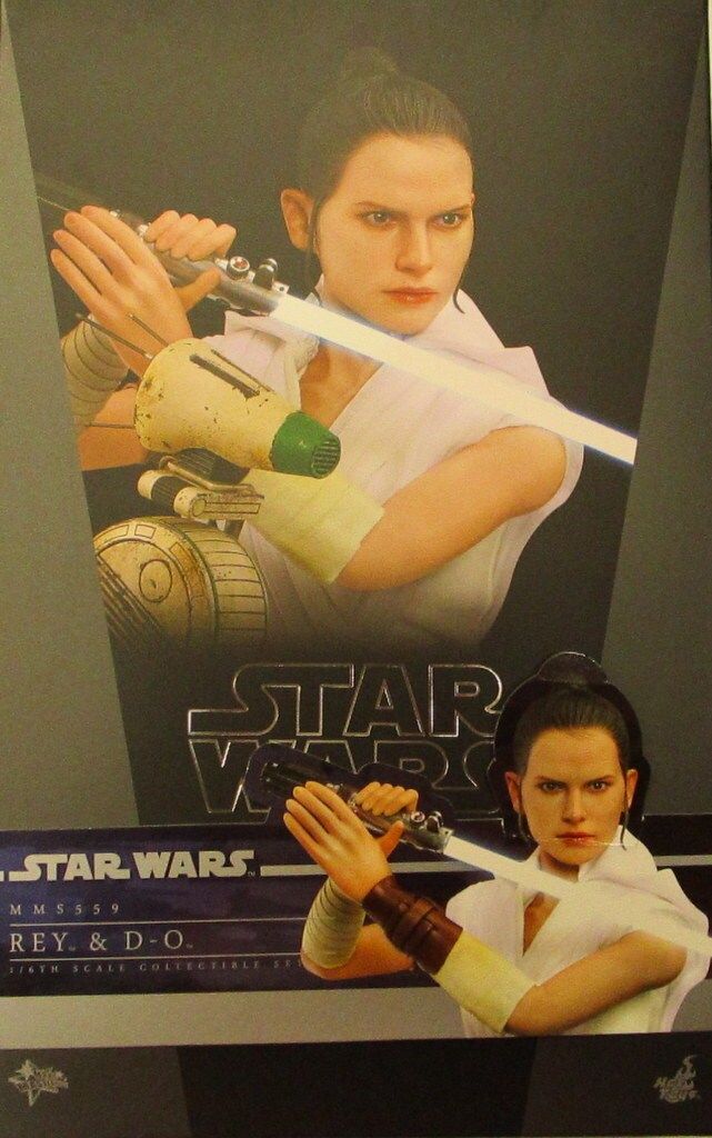 HOTTOYS MOVIE MASTERPIECE REY u0026 D-O MMS559