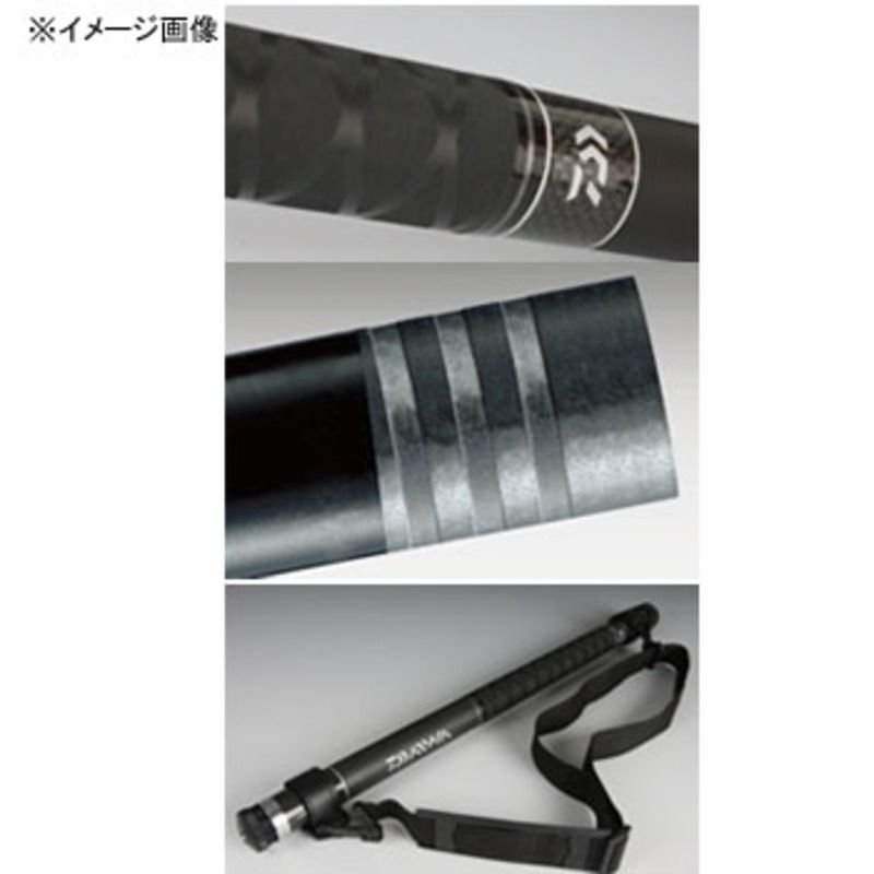 Daiwa ランディングポールII