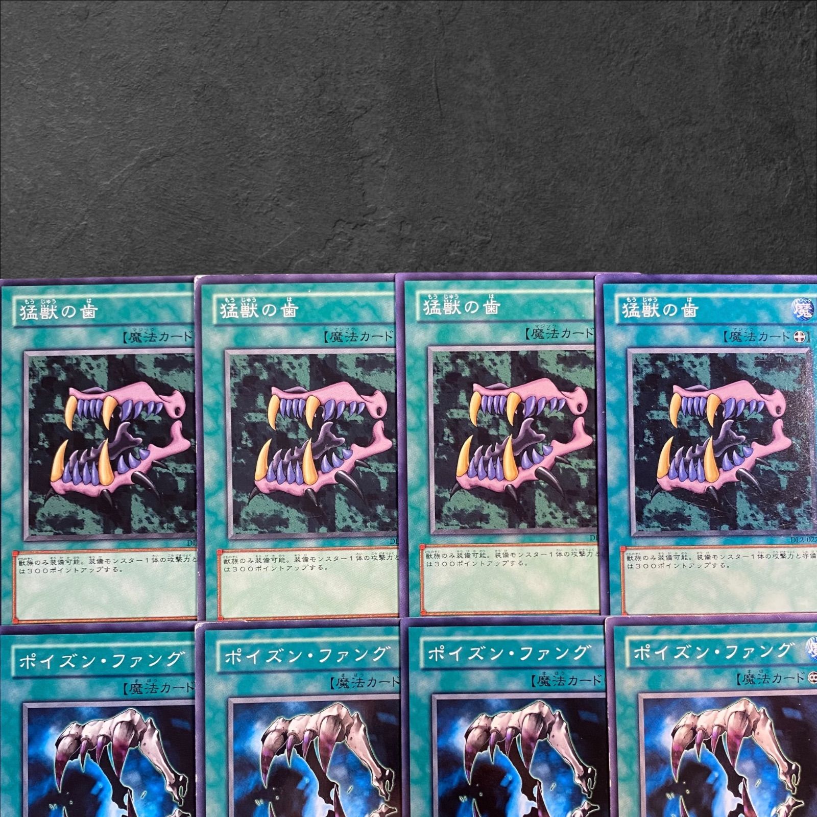 遊戯王 猛獣の歯 - メルカリ