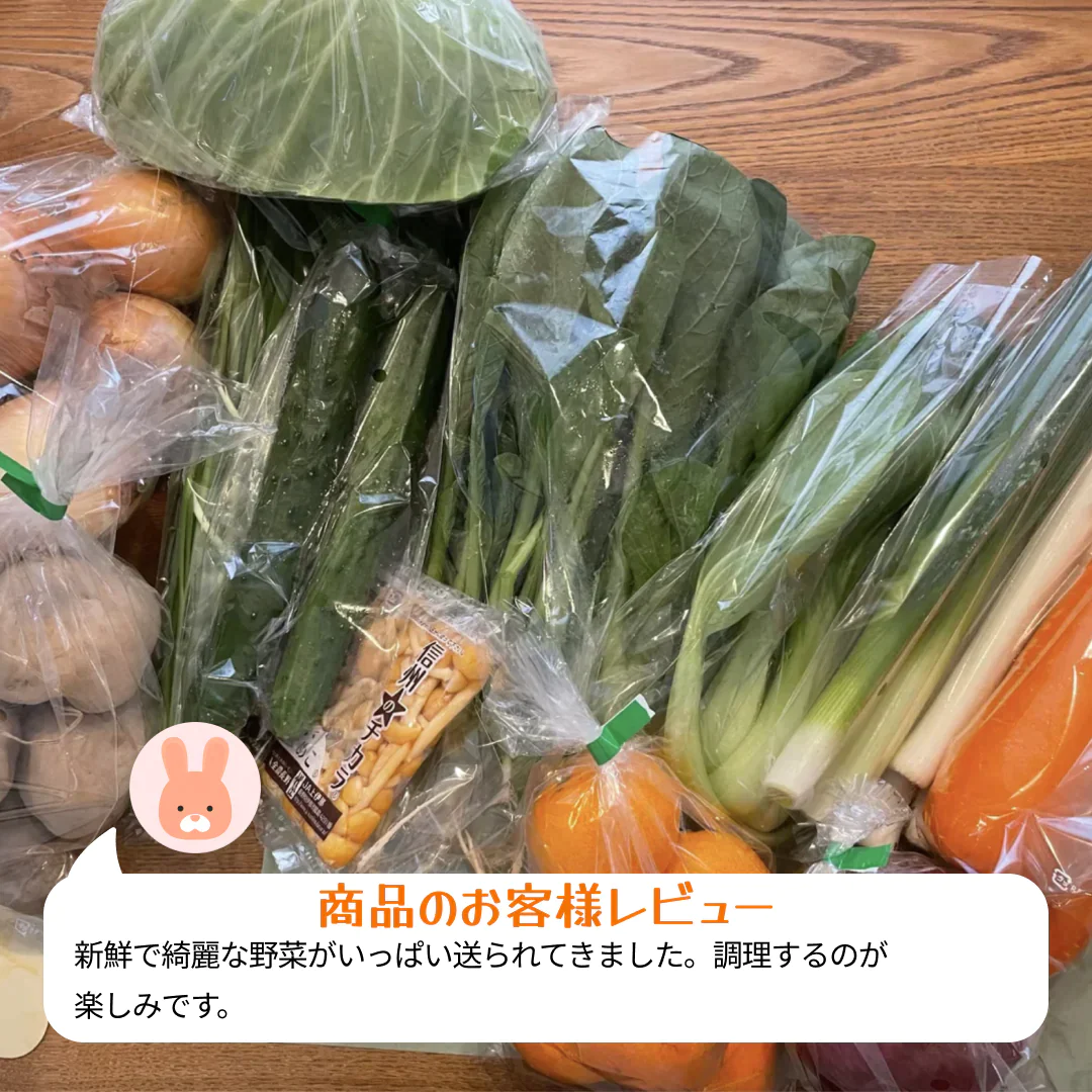 【2022年度 国内No.1獲得！】 クール便 市場直送！ 国産 野菜セット 詰め合わせ 80サイズ箱満載 【福袋】玉ねぎ にんじん じゃがいも みかん 桃 シャインマスカット