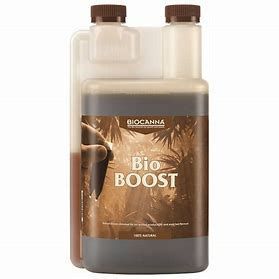 BioBOOST