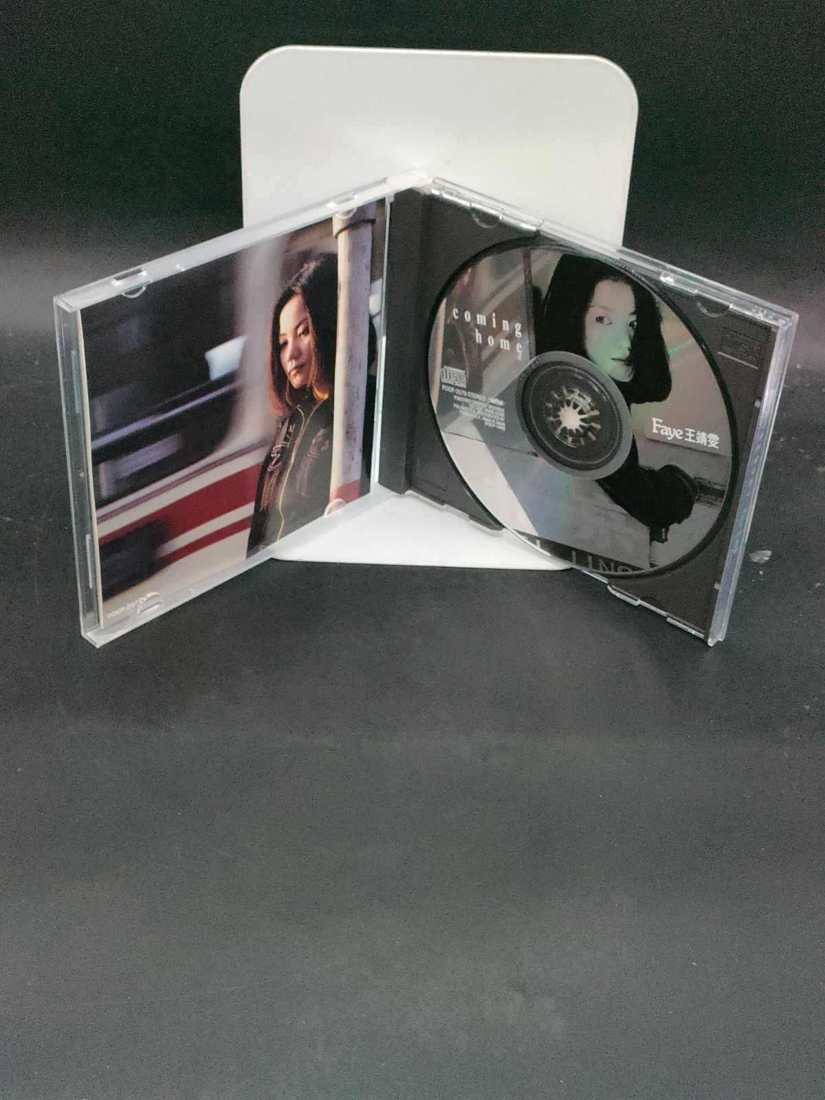 フェイ・ウォン Faye Wong 王靖雯 討好自己 背影 CD