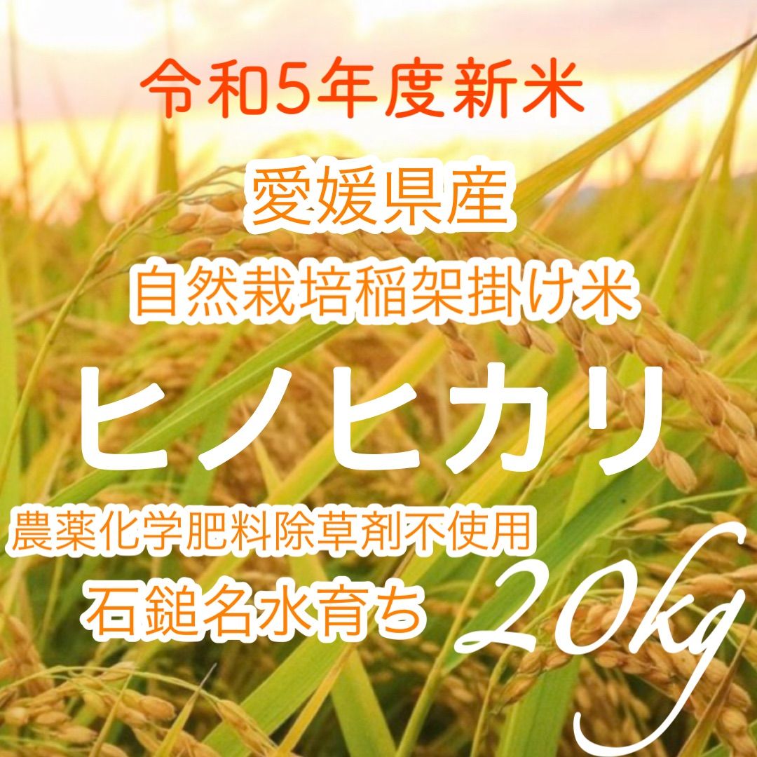 農薬化学肥料除草剤不使用 R5年度米愛媛県産ヒノヒカリ稲架掛け米 20k-