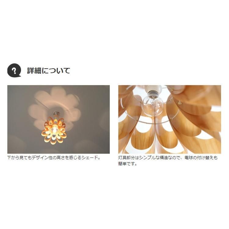 どんウッド