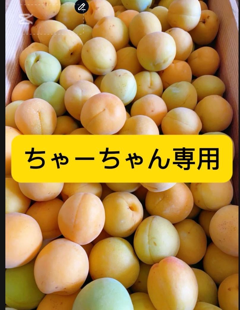 ちゃーちゃん 15 キロ箱込み