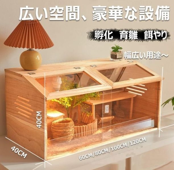 距離観察 ひよこ保育器