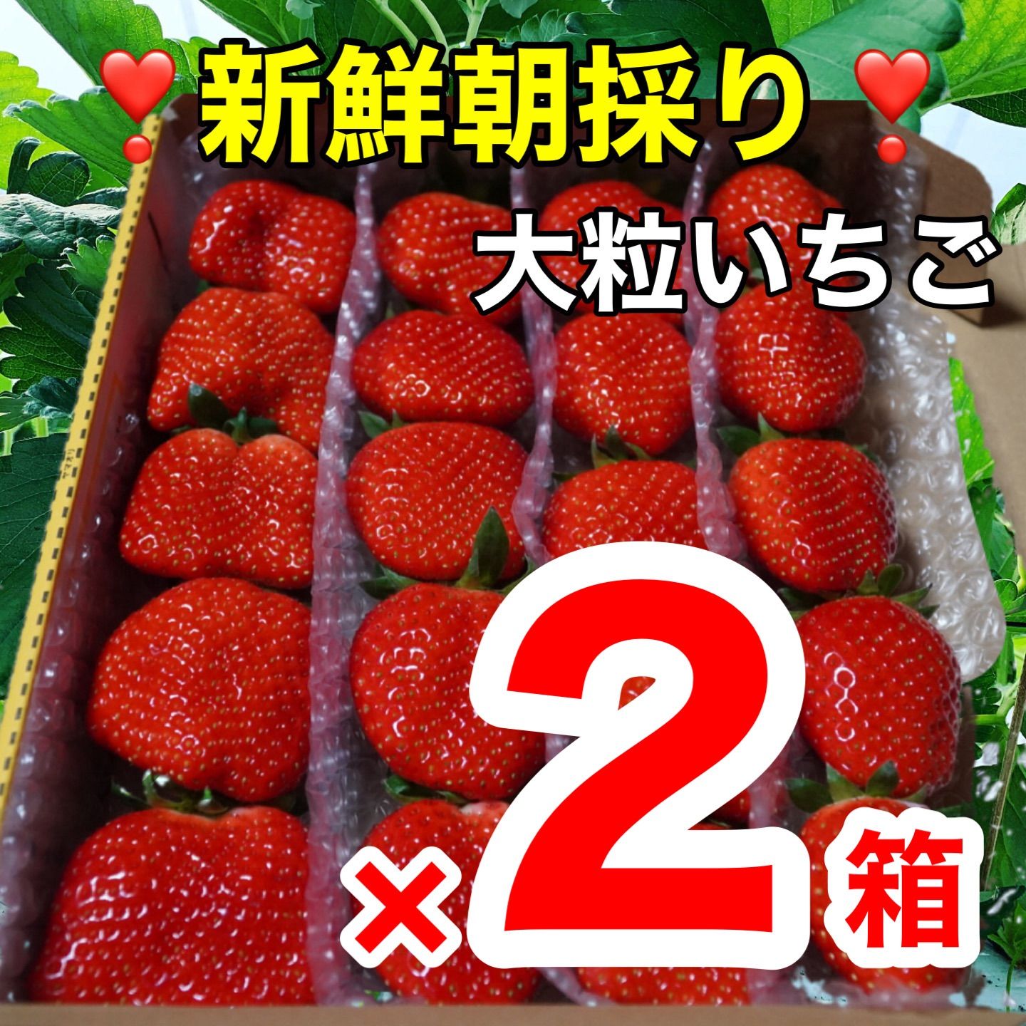 大粒②箱セット常温【複数割】
