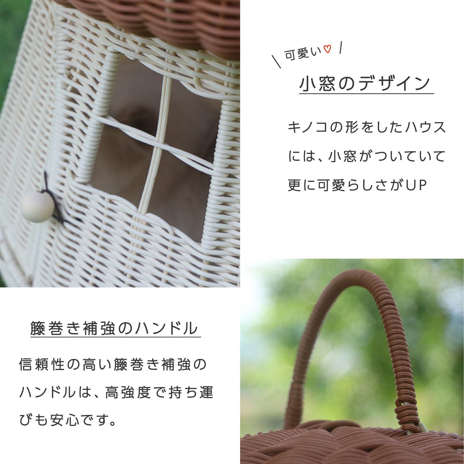犬 猫