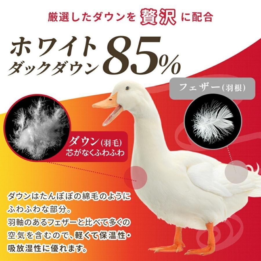 シングルロング