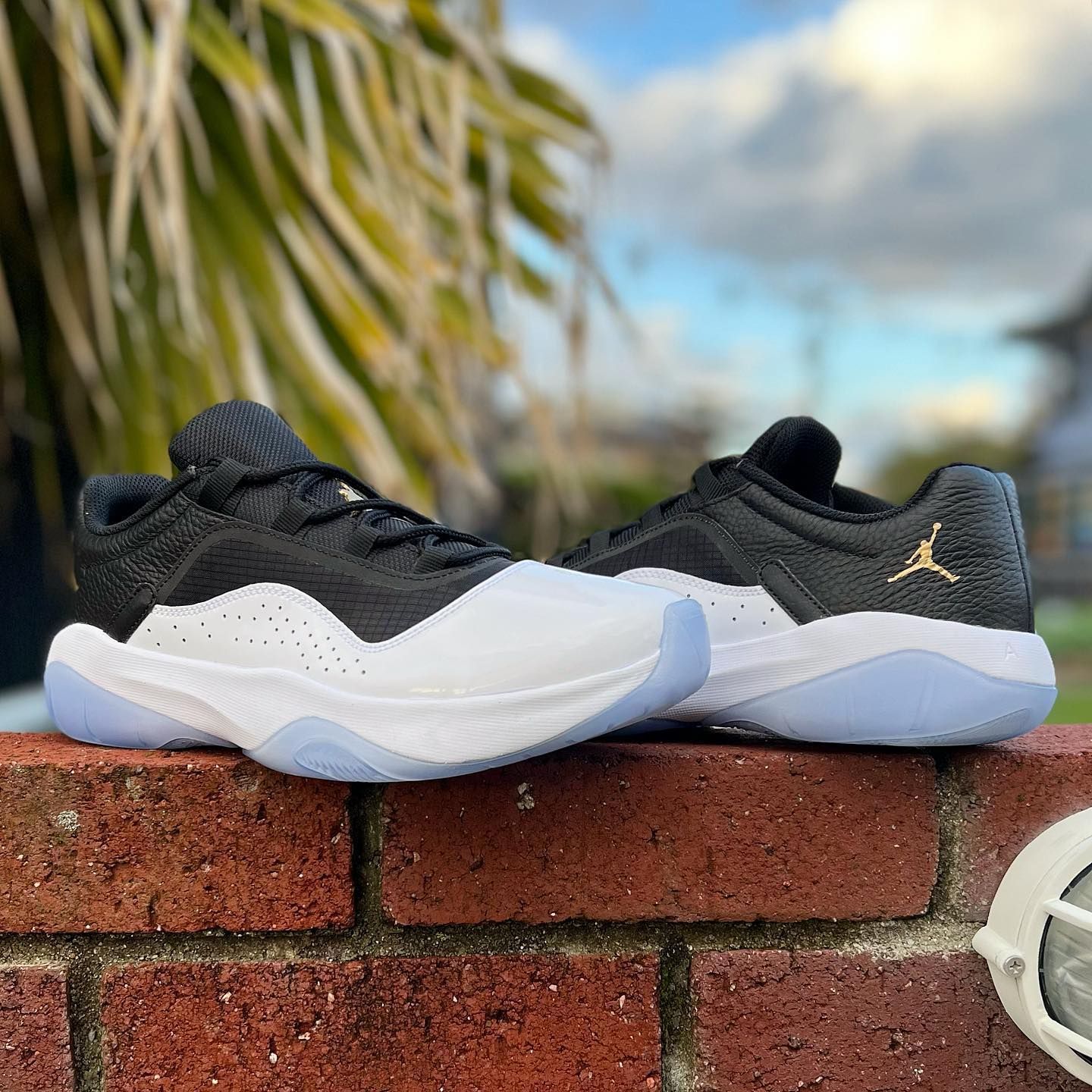 AIR JORDAN 11 CMFT LOW エア ジョーダン 11 コンフォート ローカット ...