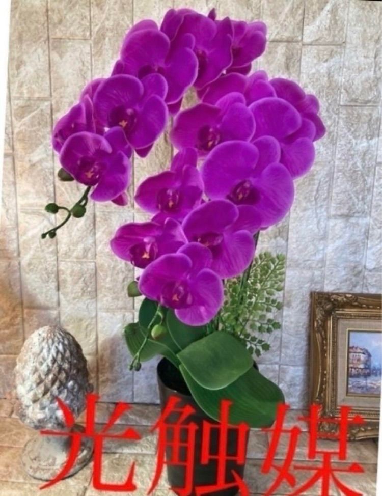 光触媒 人工観葉植物 ウォールグリーン フェイク フラワ リアル胡蝶蘭
