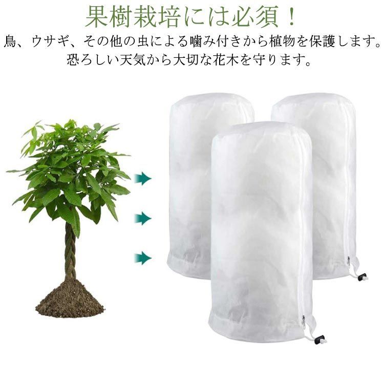 観葉植物 防寒用帽子 オファー