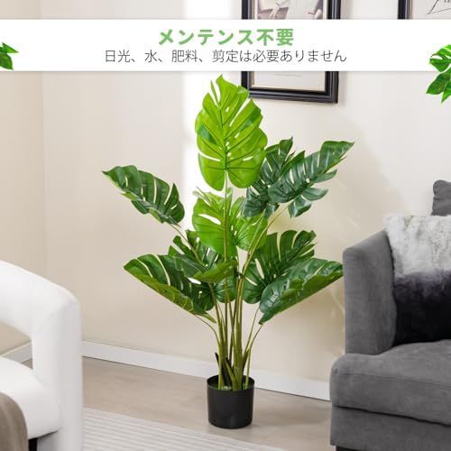 枯れない