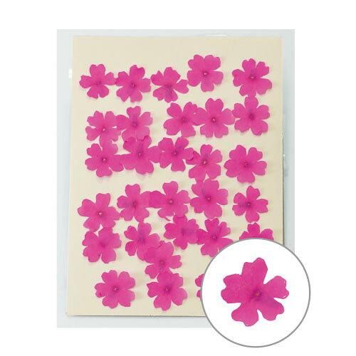 【新品・3営業日で発送】松村工芸 押し花 バーベナ MOO-2012ホットP(30リン) (197-2012-2)