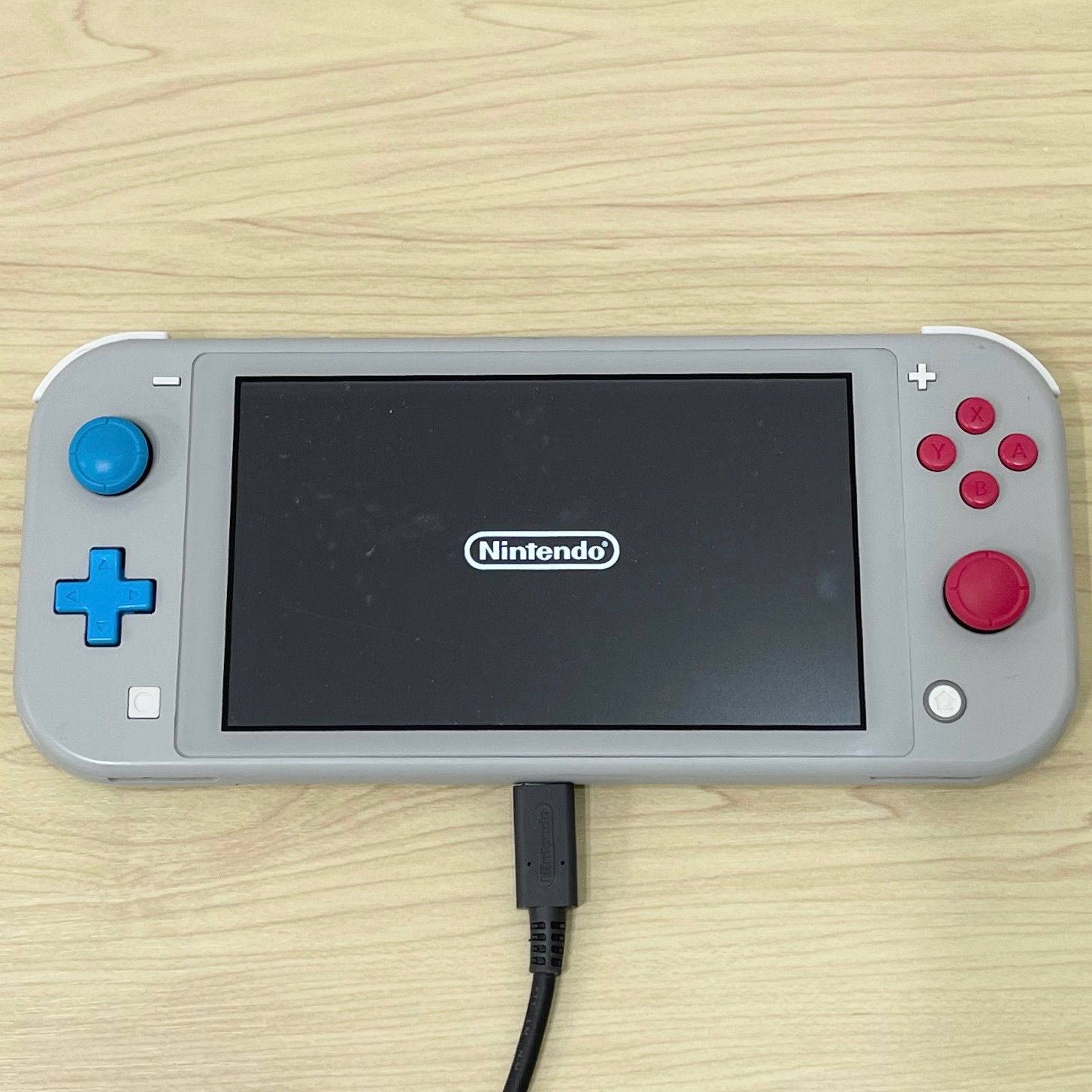 超人気の Switch Nintendo Lite ジャンク品 本体のみ Nintendo Switch